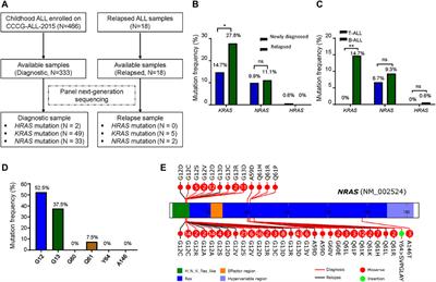 Effects of NRAS Mutations on Leukemogenesis and Targeting of Children With Acute Lymphoblastic Leukemia